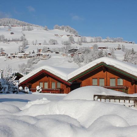 Feriendorf Wildschoenau นีเดอเรา ภายนอก รูปภาพ