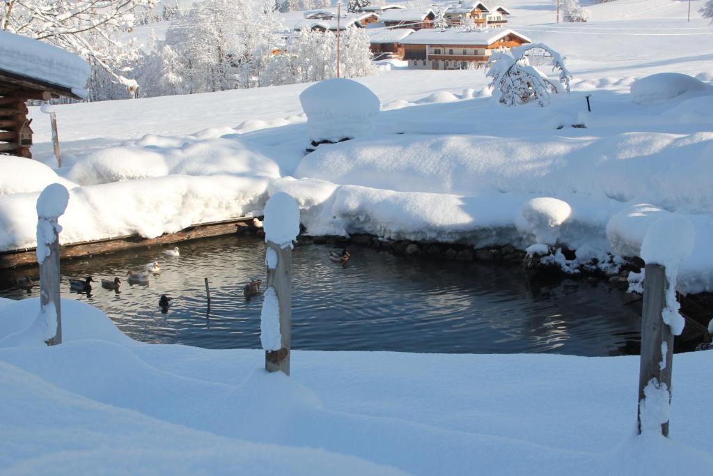 Feriendorf Wildschoenau นีเดอเรา ภายนอก รูปภาพ