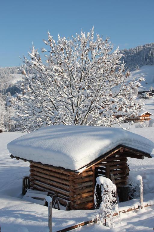 Feriendorf Wildschoenau นีเดอเรา ห้อง รูปภาพ