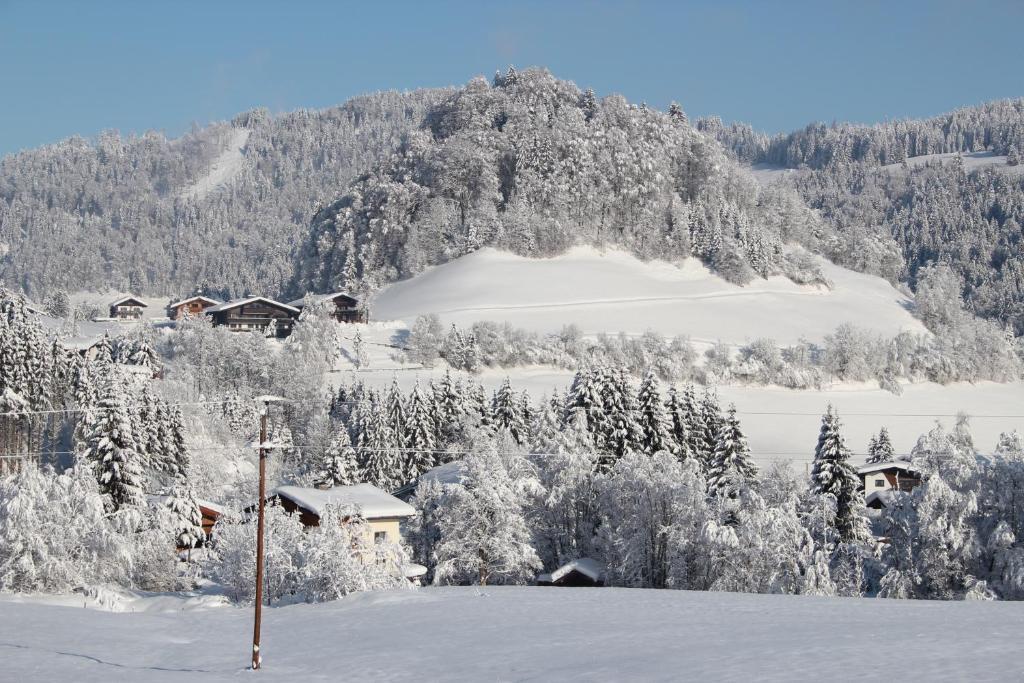 Feriendorf Wildschoenau นีเดอเรา ภายนอก รูปภาพ